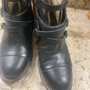 Freebird Crue by Steven